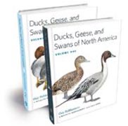 Ducks, Geese, and Swans of North America