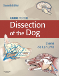 Guide to the dissection of the dog