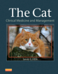 The cat: clinical medicine and management