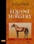 Equine surgery