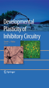 Developmental plasticity of inhibitory circuitry