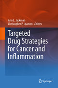 Targeted drug strategies for cancer and inflammation