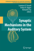 Synaptic mechanisms in the auditory system