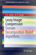 Lossy image compression: domain decomposition-based algorithms