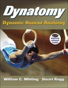 Dynatomy: dynamic human anatomy