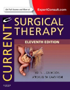 Current Surgical Therapy: Expert Consult - Online and Print