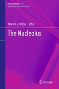 The nucleolus