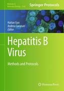 Hepatitis B Virus