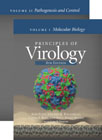 Principles of Virology: 2 Volume Set