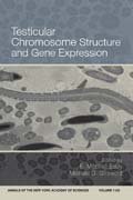 Testicular chromosome structure and gene expression