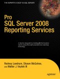 Pro SQL server 2008 reporting services