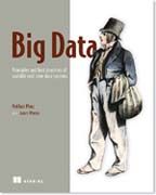 Big Data: Principles and best practices of scalable realtime data systems