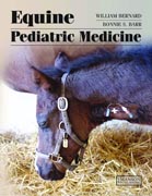 Equine pediatric medicine