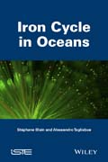 Iron Cycle in Oceans