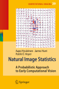 Natural image statistics: a probabilistic approach to early computational vision