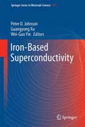 Iron-Based Superconductivity