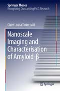 Nanoscale Imaging and Characterisation of Amyloid-?