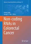 Non-coding RNAs in Colorectal Cancer