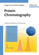 Protein chromatography: process development and scale-up