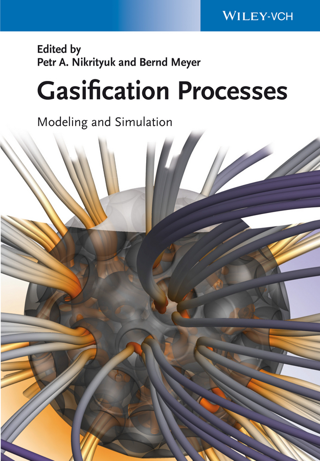 Gasification Processes: Modeling and Simulation