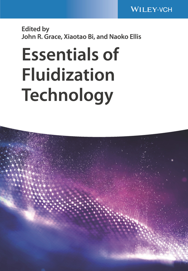 Essentials of Fluidization