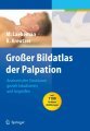 Großer bildatlas der palpation: anatomische strukturen gezielt lokalisieren und begreifen