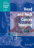 Head and neck cancer imaging