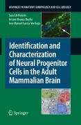 Identification and characterization of neural progenitor cells in the adult mammalian brain