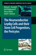 The neuroendocrine leydig cells and their stem cell progenitors, the pericytes