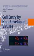 Cell entry by non-enveloped viruses