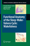 Functional anatomy of the sleep-wakefulness cycle: wakefulness