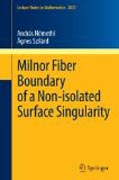 Milnor fiber boundary of a non-isolated surface singularity