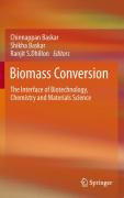 Biomass conversion: the interface of biotechnology, chemistry and materials science