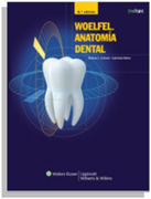 Woelfel anatomía dental