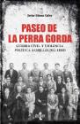 Paseo de la Perra Gorda: Guerra civil y violencia política a orillas del Ebro