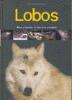 Lobos: mitos y leyendas. El lobo en la actualidad