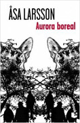 Aurora boreal