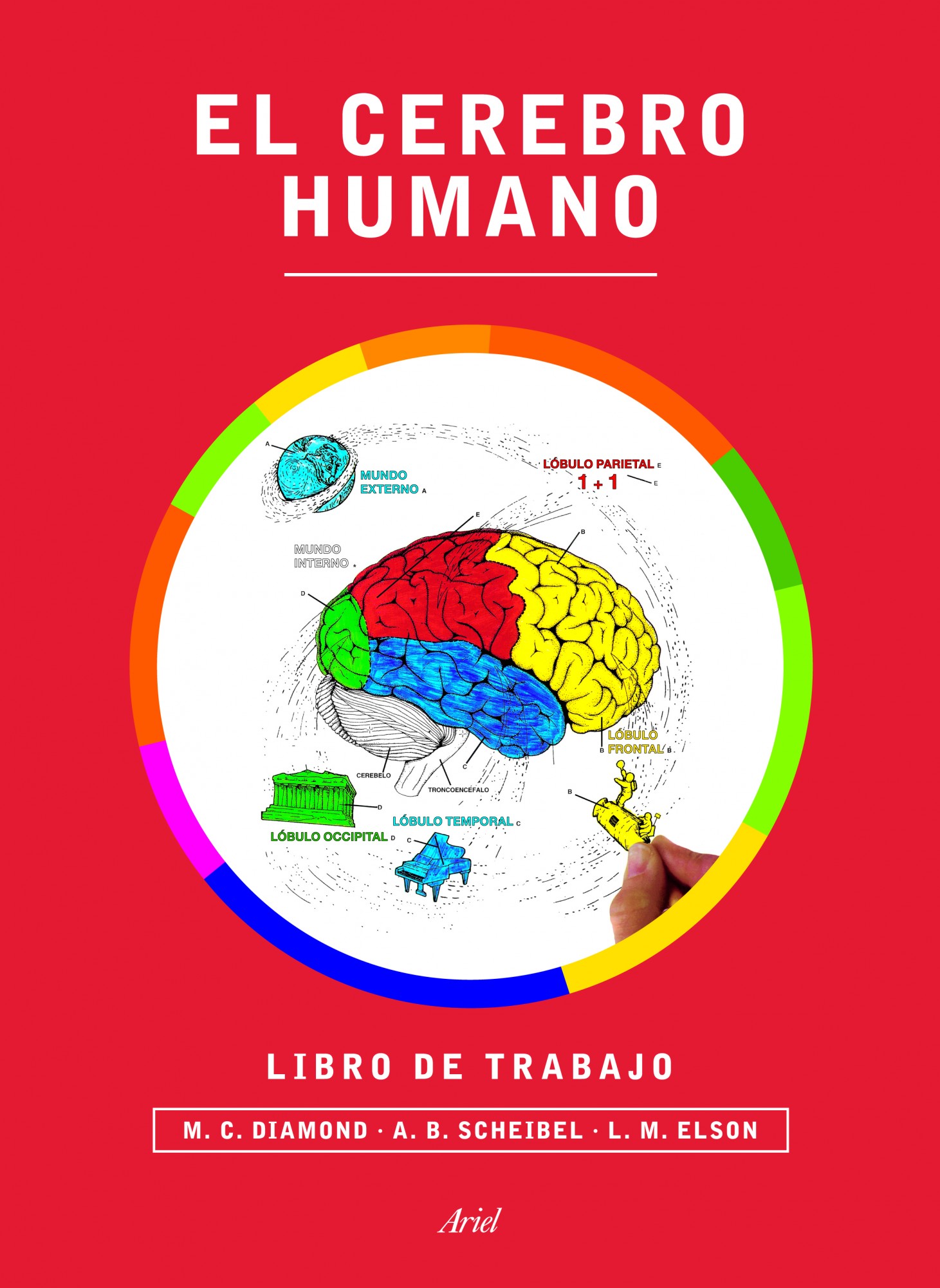 El cerebro humano. Libro de trabajo