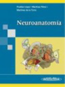 Neuroanatomía