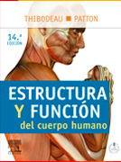 Estructura y función del cuerpo humano