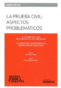 La prueba civil: aspectos problemáticos