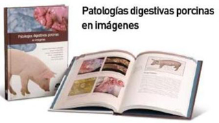 Patologías digestivas porcinas en imágenes