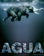 Agua