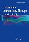 Endovascular Neurosurgery Through Clinical Cases