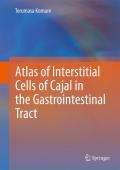 Atlas of interstitial cells of Cajal in the gastrointestinal tract